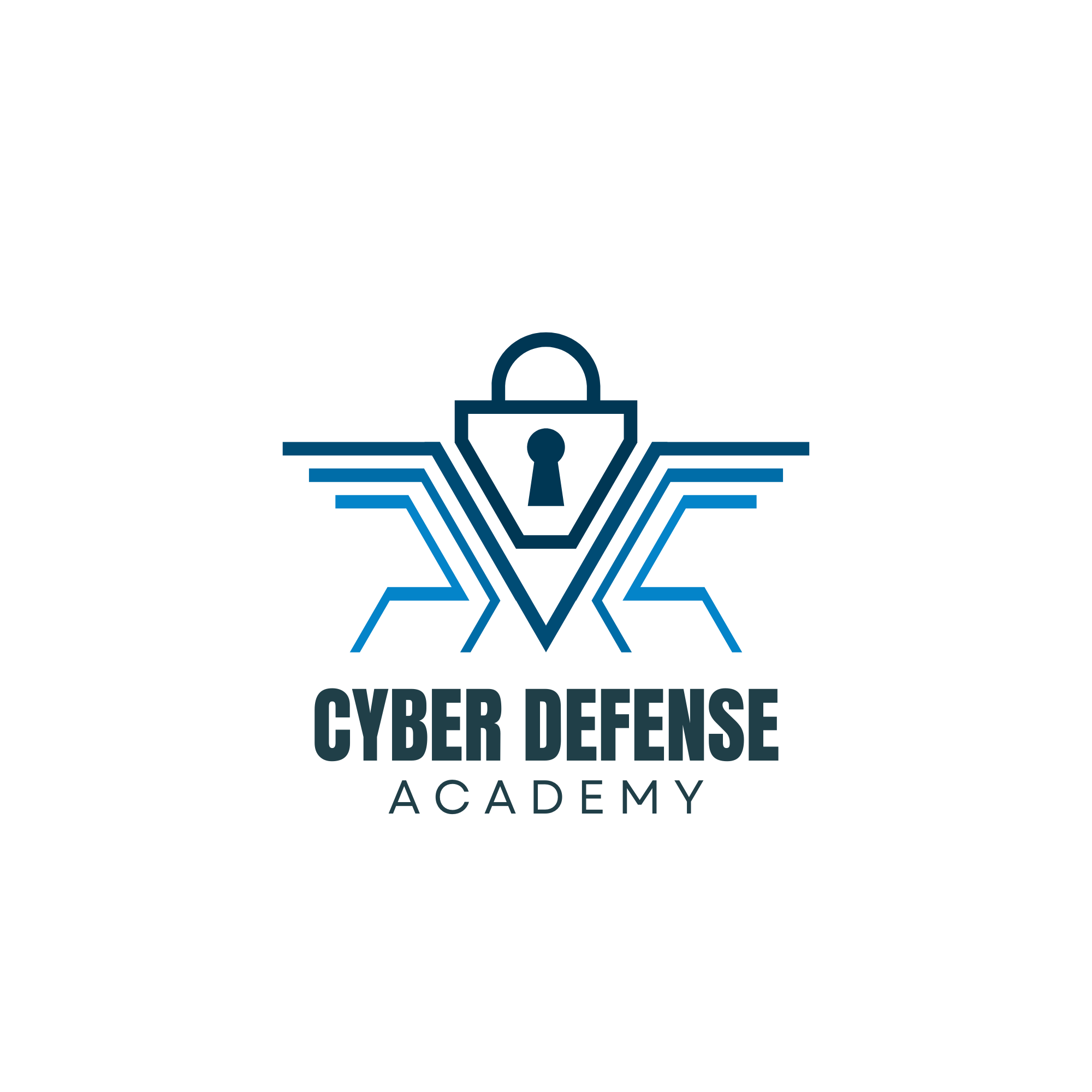 Cyber Defense Academy